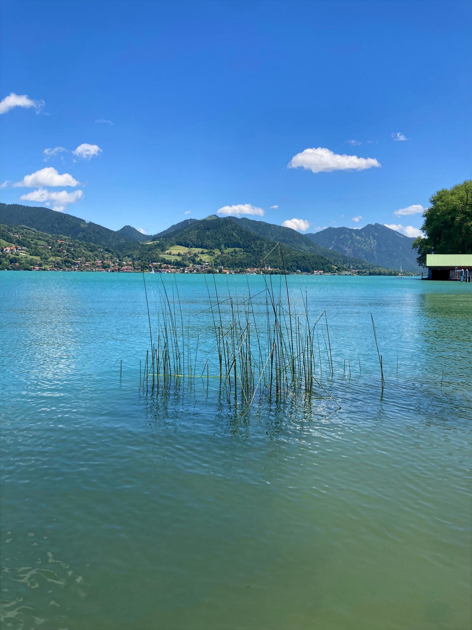 Foto aus Galerie 