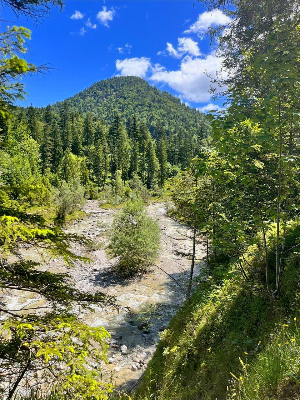 Foto aus Galerie 