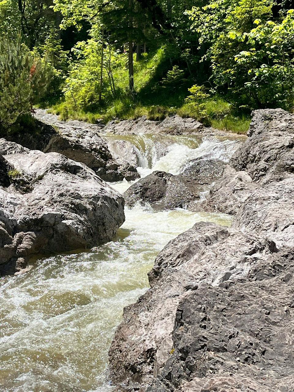 Foto aus Galerie 