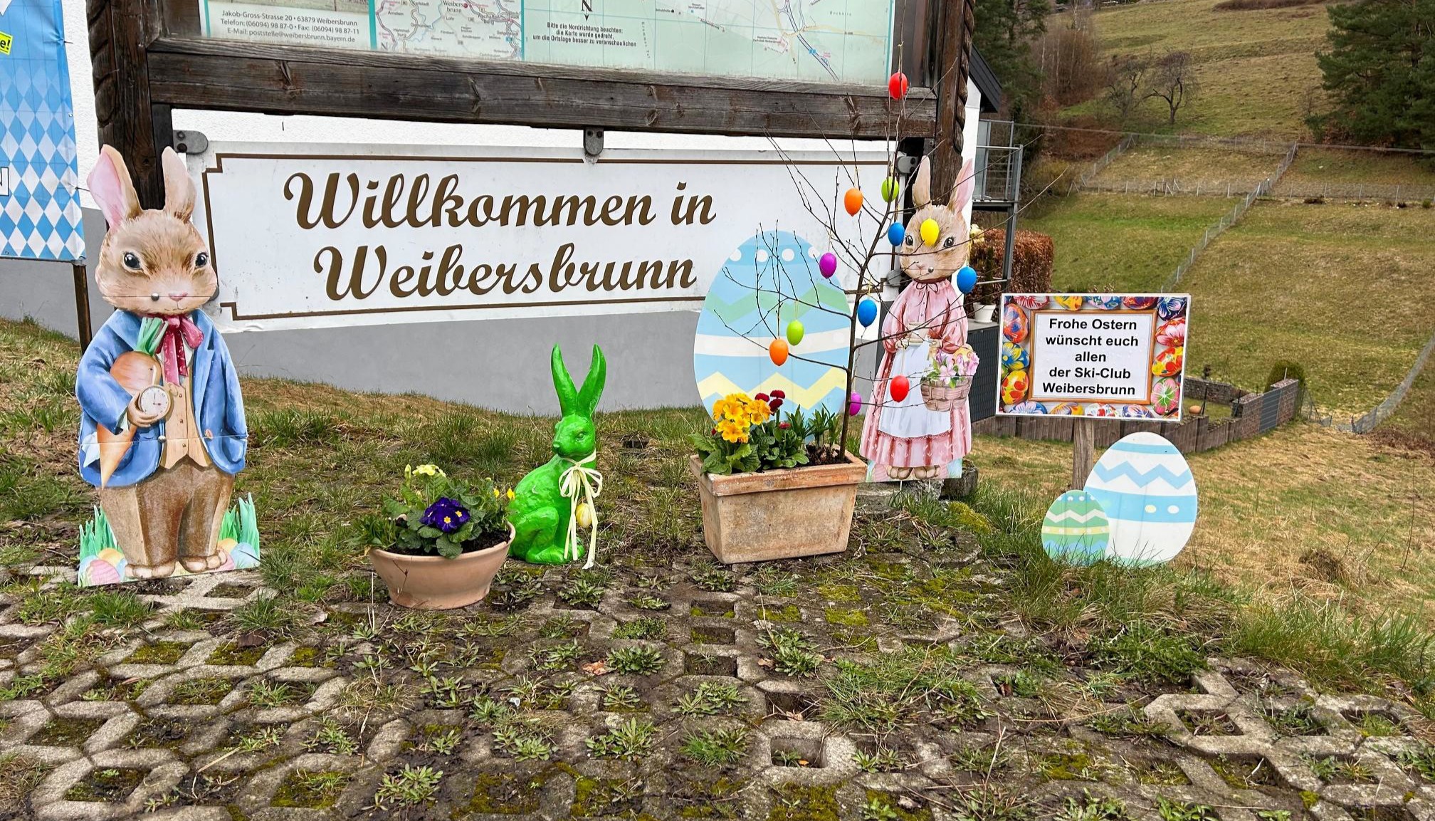 Bild neuster Artikel